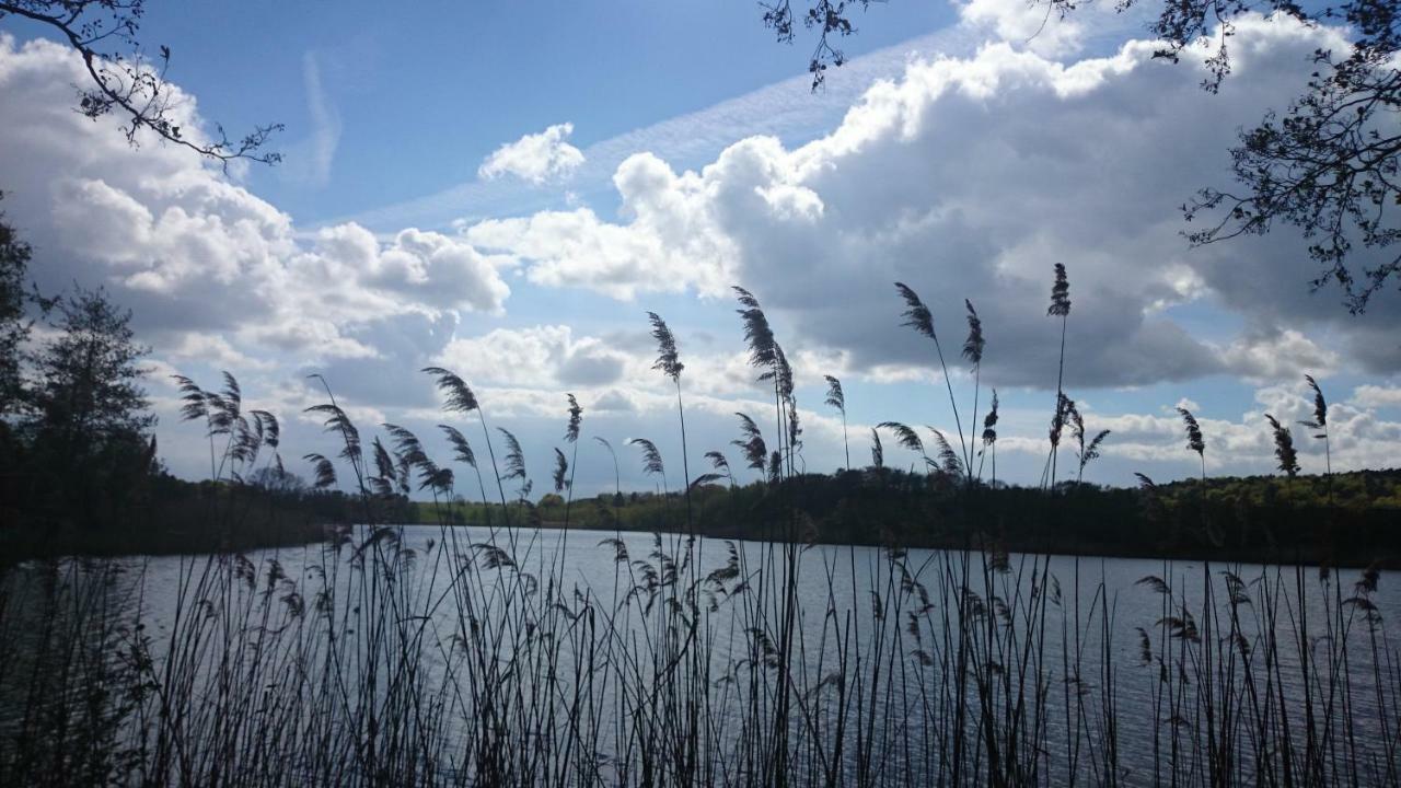 Schloonseevilla Mit Tiefgarage - 200 M Zum Strand Heringsdorf  Esterno foto